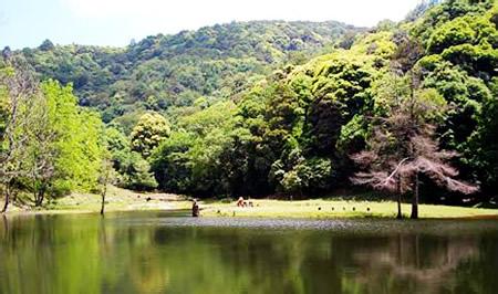 永平天气预报10天查询