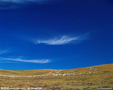 红原天气预报30天查询,红原县一个月天气