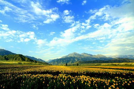 沙湾天气预报30天查询,沙湾县一个月天气