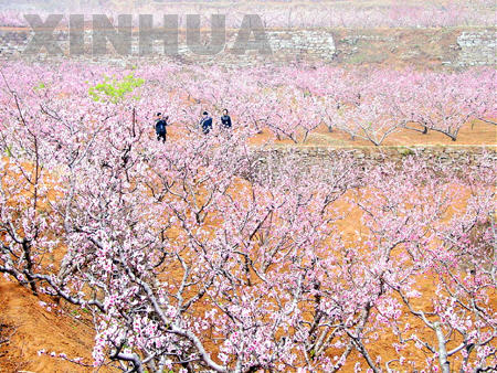 肥城天气预报15天查询