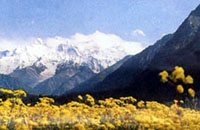 昭苏夏塔旅游区天气 昭苏夏塔旅游区天气