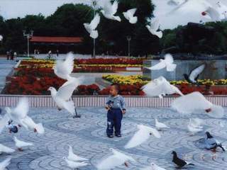 石河子游憩广场天气