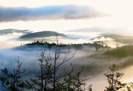 大兴安岭兴安落叶松林天气 大兴安岭兴安落叶松林天气