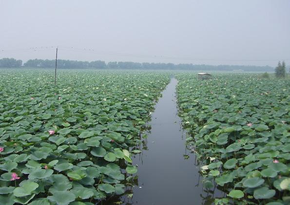 沈阳西湖