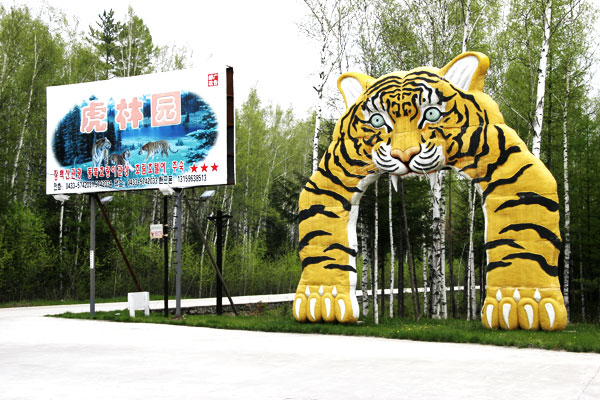 延边长白山东北虎林园天气 延边长白山东北虎林园天气