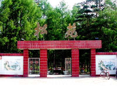 大兴安岭漠河松苑原始森林公园天气 大兴安岭漠河松苑原始森林公园天气