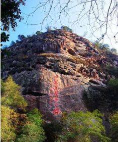 邵武中国兰花第一谷天气