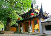 安吉灵峰青青世界天气 安吉灵峰青青世界天气