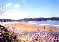 嵊泗塔湾金沙景区天气 嵊泗塔湾金沙景区天气