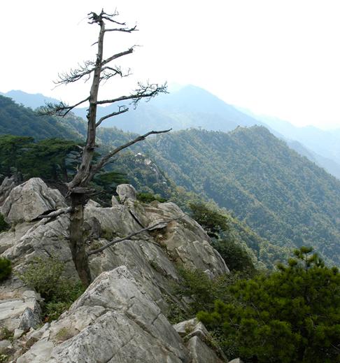 霍山大别山主峰景区天气