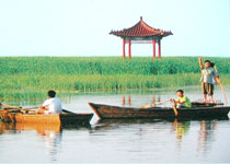 盐都区大纵湖度假区天气