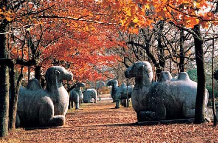 南京明孝陵天气 南京明孝陵天气