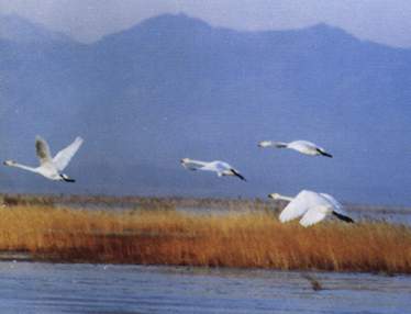 延庆野鸭湖公园天气