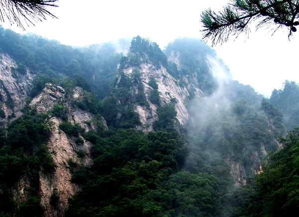 西峡银树沟天气