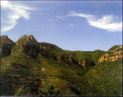 鹰潭上清国家森林公园天气 鹰潭上清国家森林公园天气