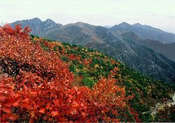 门头沟大寒岭关城天气