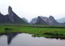 英德英西峰林走廊天气 英德英西峰林走廊天气