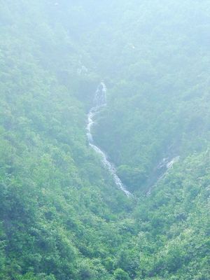 潮州叫水坑原始森林天气