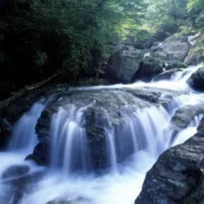 张家界索溪峪天气