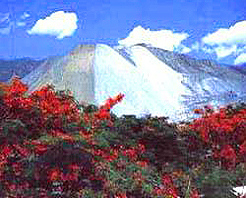 攀枝花兰家火山天气