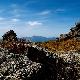 武夷山黄岗山天气